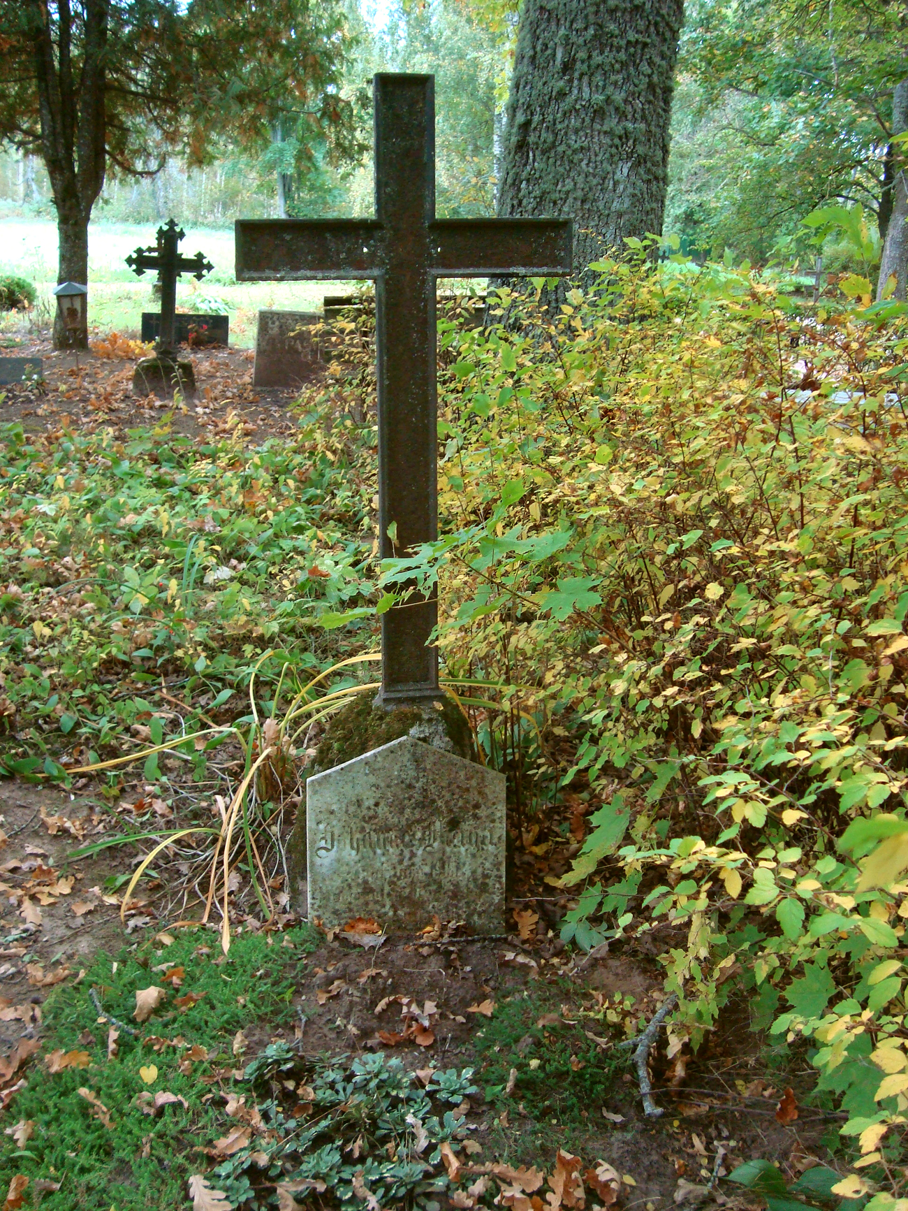 N6o_kalmistu-Johannes_Luiga_DSC00339-22.jpg